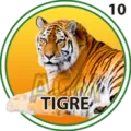 2025-03-15 20:00 10 Tigre