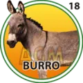 2025-09-12 16:00 18 Burro