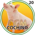 2025-03-15 19:00 20 Cochino