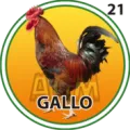 2025-07-19 12:00 21 Gallo