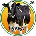 2025-03-15 17:00 26 Vaca