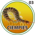 2025-03-15 18:00 3 Ciempiés