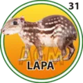 2025-03-16 09:00 31 Lapa