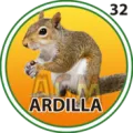 2025-03-16 11:00 32 Ardilla