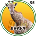 2025-03-15 16:00 35 Jirafa
