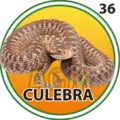 2025-07-19 17:00 36 Culebra