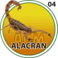 2025-06-13 12:00 4 Alacrán