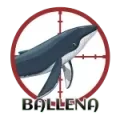 Resultado 00 Ballena de Cazaloton el 2026-05-27 a las 11:00