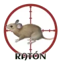 Resultado 08 Raton de Cazaloton el 2026-05-27 a las 10:00