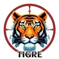 Resultado 10 Tigre de Cazaloton el 2026-07-11 a las 16:00
