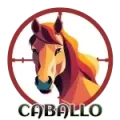 Resultado 12 Caballo de Cazaloton el 2026-05-28 a las 09:00