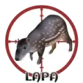Resultado 31 Lapa de Cazaloton el 2026-06-12 a las 10:00