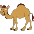 Resultado 22 Camello de Centena Animalitos el 2026-05-27 a las 19:00