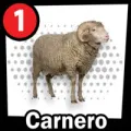 2025-07-29 15:00 1 Carnero