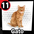 2025-03-16 10:00 11 Gato