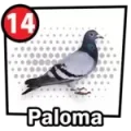 Resultado 14 Paloma de Chance con animalitos el 2026-07-11 a las 09:00
