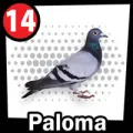 2025-09-12 10:00 14 Paloma
