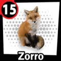 2025-09-12 13:00 15 Zorro