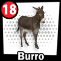 2025-09-12 15:00 18 Burro
