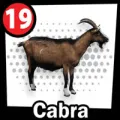 2025-09-13 15:00 19 Chivo