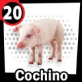 2025-09-12 18:00 20 Cochino