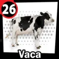 2025-09-13 17:00 26 Vaca