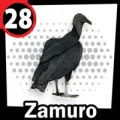 2025-03-16 09:00 28 Zamuro