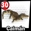 2025-07-29 11:00 30 Caimán