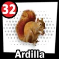 2025-09-13 16:00 32 Ardilla