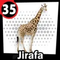2025-12-13 14:00 35 Jirafa