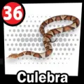 2025-07-29 19:00 36 Culebra