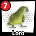 2025-07-29 09:00 7 Perico