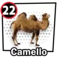 Resultado 22 Camello de Chance Con Animalitos A el 2026-05-28 a las 09:00