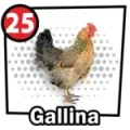 Resultado 25 Gallina de Chance Con Animalitos A el 2026-08-26 a las 12:00