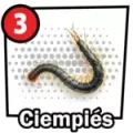 Resultado 3 Ciempiés de Chance Con Animalitos A el 2026-07-11 a las 12:00