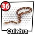 Resultado 36 Culebra de Chance Con Animalitos A el 2026-06-12 a las 15:00