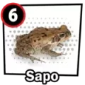 Resultado 6 Rana de Chance Con Animalitos A el 2026-05-27 a las 17:00