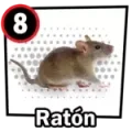 Resultado 8 Ratón de Chance Con Animalitos A el 2026-05-28 a las 10:00