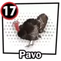 Resultado 17 Pavo de Chance Con Animalitos B el 2026-05-27 a las 09:00