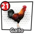 Resultado 21 Gallo de Chance Con Animalitos B el 2026-05-28 a las 10:00