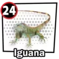 Resultado 24 Iguana de Chance Con Animalitos B el 2026-06-12 a las 10:00