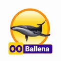 2025-12-13 11:00 00 Ballena