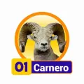 2025-03-15 10:00 1 Carnero