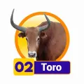 2024-05-16 19:00 2 Toro