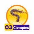 2025-06-13 17:00 3 Ciempiés