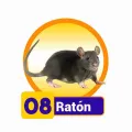 2025-03-15 12:00 8 Ratón