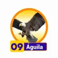 2026-03-13 15:00 9 águila