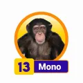 2025-07-30 11:00 13 Mono