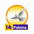2025-08-05 09:00 14 Paloma