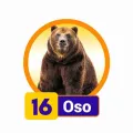 2026-03-20 12:00 16 Oso